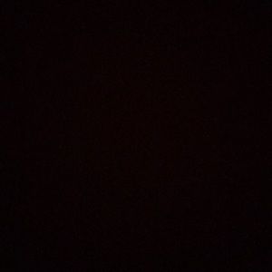 Meet your Posher, Audrey-ann